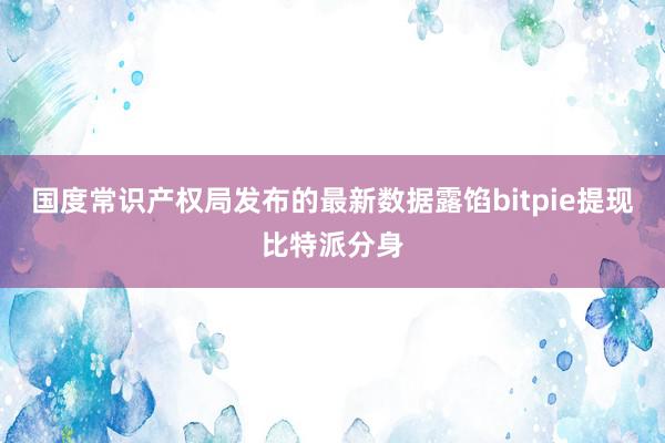 国度常识产权局发布的最新数据露馅bitpie提现比特派分身