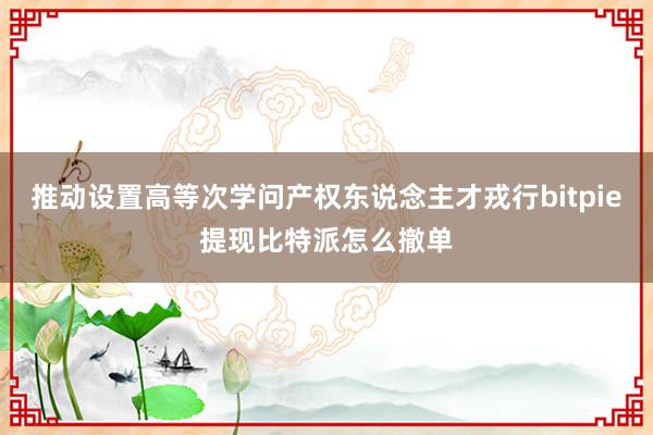 推动设置高等次学问产权东说念主才戎行bitpie提现比特派怎么撤单