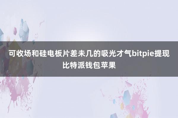 可收场和硅电板片差未几的吸光才气bitpie提现比特派钱包苹果