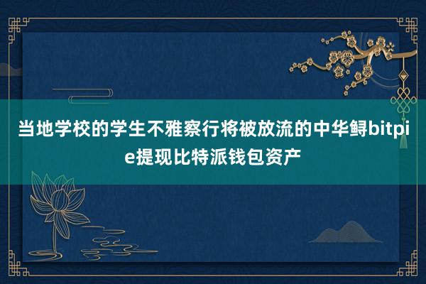 当地学校的学生不雅察行将被放流的中华鲟bitpie提现比特派钱包资产