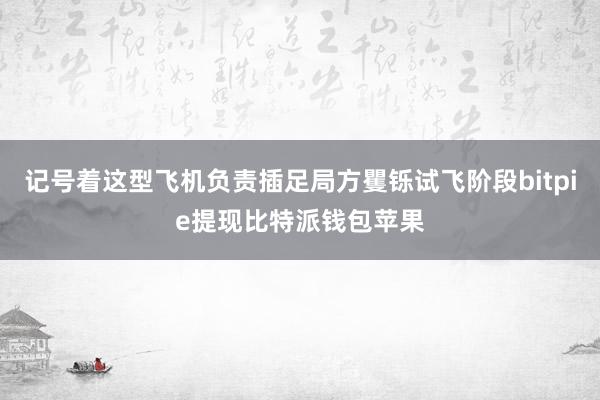 记号着这型飞机负责插足局方矍铄试飞阶段bitpie提现比特派钱包苹果