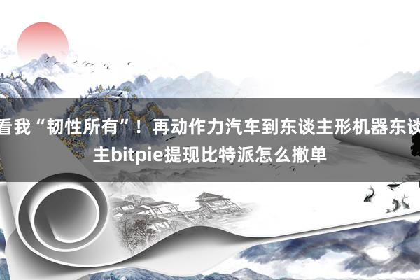 看我“韧性所有”！再动作力汽车到东谈主形机器东谈主bitpie提现比特派怎么撤单