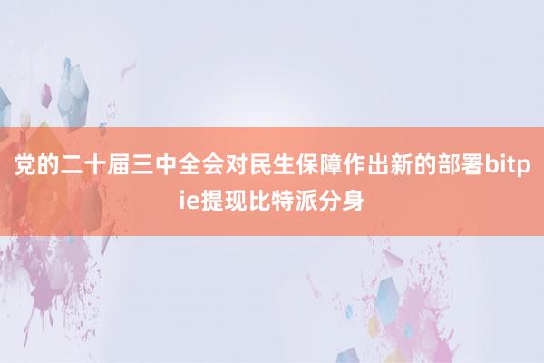 党的二十届三中全会对民生保障作出新的部署bitpie提现比特派分身