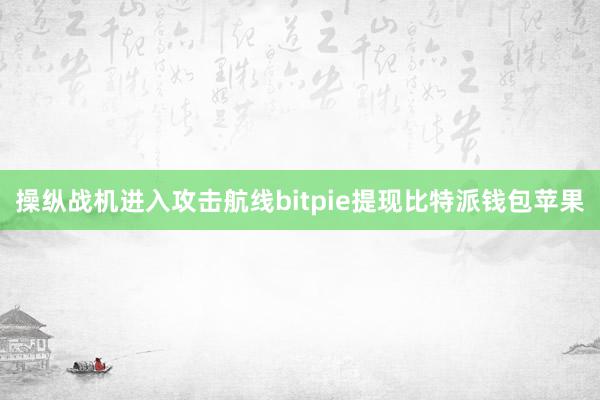 操纵战机进入攻击航线bitpie提现比特派钱包苹果