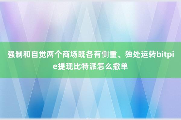 强制和自觉两个商场既各有侧重、独处运转bitpie提现比特派怎么撤单