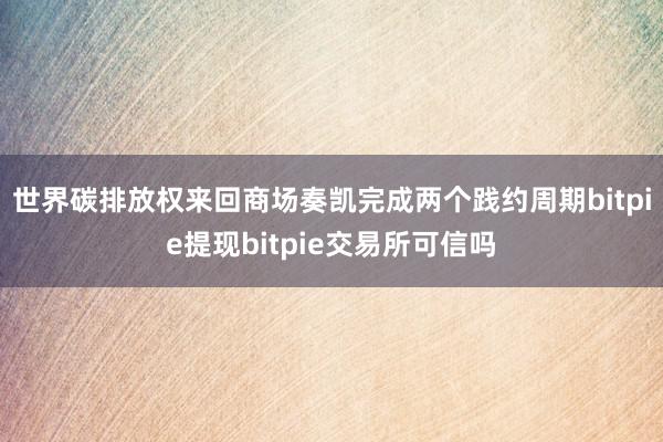 世界碳排放权来回商场奏凯完成两个践约周期bitpie提现bitpie交易所可信吗