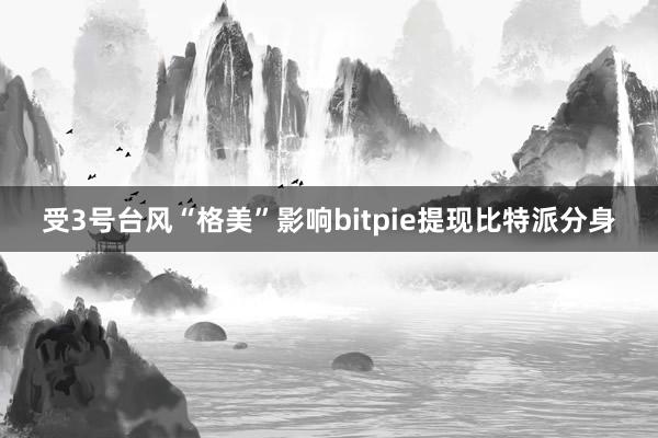 受3号台风“格美”影响bitpie提现比特派分身