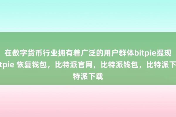 在数字货币行业拥有着广泛的用户群体bitpie提现bitpie 恢复钱包，比特派官网，比特派钱包，比特派下载