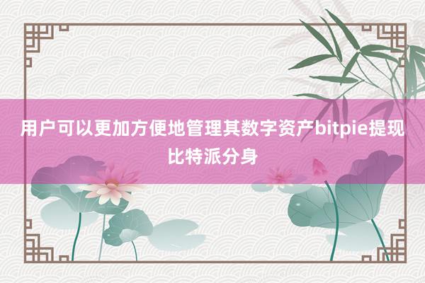 用户可以更加方便地管理其数字资产bitpie提现比特派分身