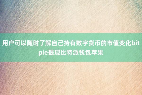 用户可以随时了解自己持有数字货币的市值变化bitpie提现比特派钱包苹果