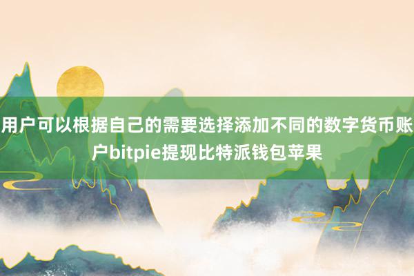 用户可以根据自己的需要选择添加不同的数字货币账户bitpie提现比特派钱包苹果