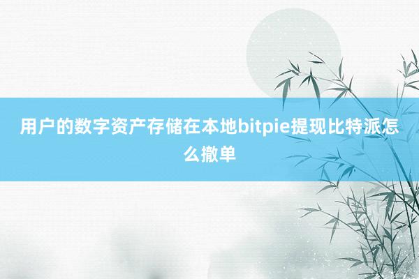 用户的数字资产存储在本地bitpie提现比特派怎么撤单