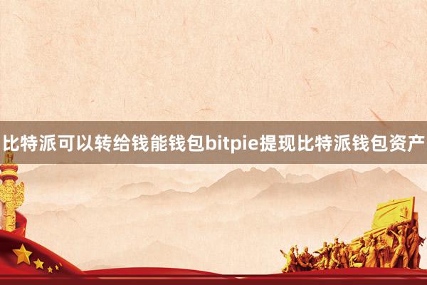 比特派可以转给钱能钱包bitpie提现比特派钱包资产