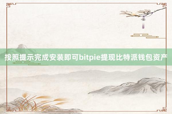 按照提示完成安装即可bitpie提现比特派钱包资产