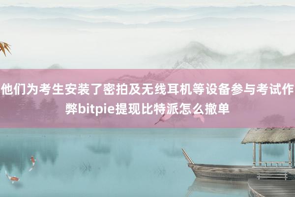 他们为考生安装了密拍及无线耳机等设备参与考试作弊bitpie提现比特派怎么撤单