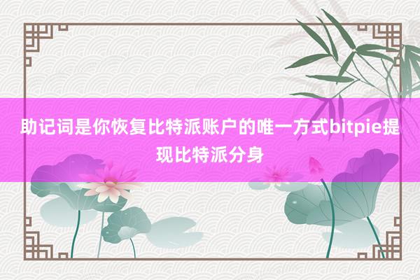 助记词是你恢复比特派账户的唯一方式bitpie提现比特派分身