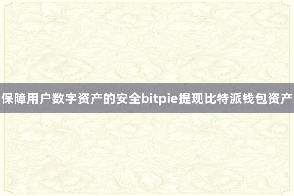 保障用户数字资产的安全bitpie提现比特派钱包资产