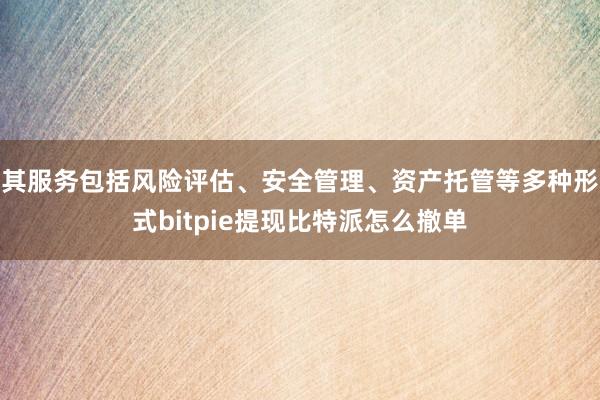 其服务包括风险评估、安全管理、资产托管等多种形式bitpie提现比特派怎么撤单