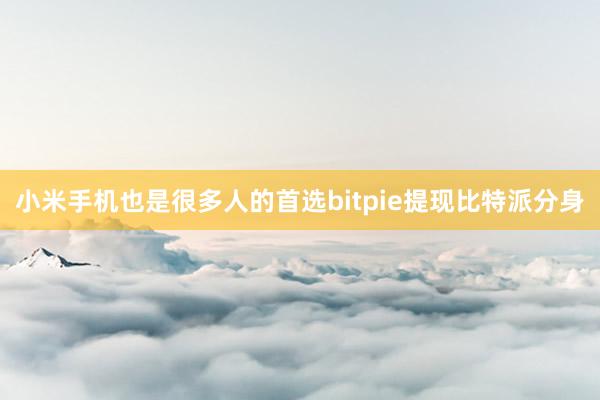 小米手机也是很多人的首选bitpie提现比特派分身