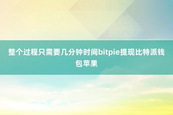 整个过程只需要几分钟时间bitpie提现比特派钱包苹果