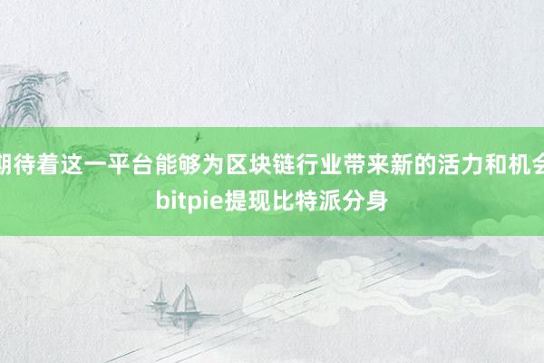 期待着这一平台能够为区块链行业带来新的活力和机会bitpie提现比特派分身