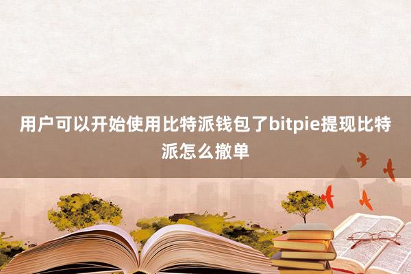 用户可以开始使用比特派钱包了bitpie提现比特派怎么撤单