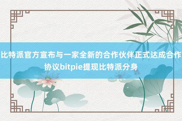 比特派官方宣布与一家全新的合作伙伴正式达成合作协议bitpie提现比特派分身