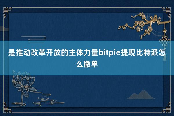 是推动改革开放的主体力量bitpie提现比特派怎么撤单