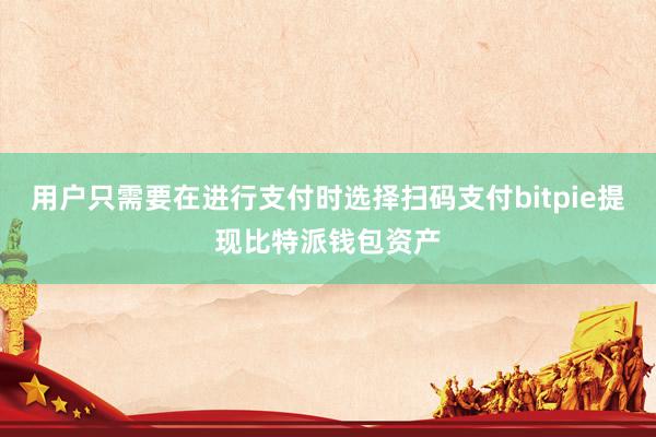 用户只需要在进行支付时选择扫码支付bitpie提现比特派钱包资产