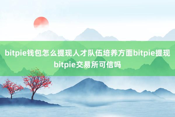 bitpie钱包怎么提现人才队伍培养方面bitpie提现bitpie交易所可信吗