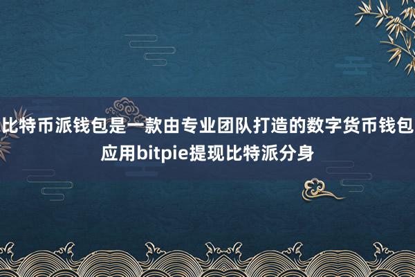 比特币派钱包是一款由专业团队打造的数字货币钱包应用bitpie提现比特派分身