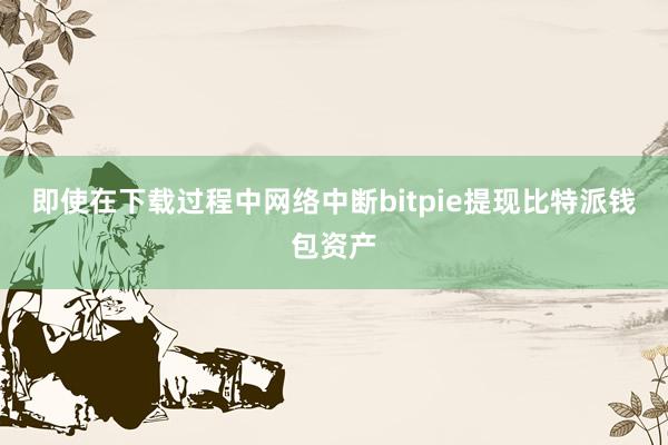 即使在下载过程中网络中断bitpie提现比特派钱包资产