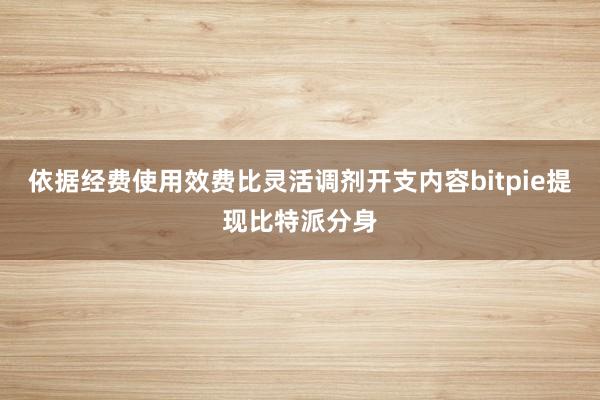 依据经费使用效费比灵活调剂开支内容bitpie提现比特派分身