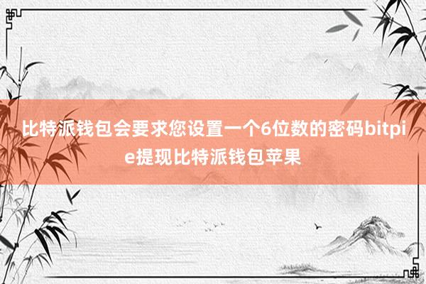 比特派钱包会要求您设置一个6位数的密码bitpie提现比特派钱包苹果