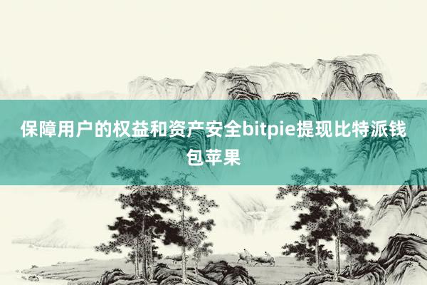 保障用户的权益和资产安全bitpie提现比特派钱包苹果