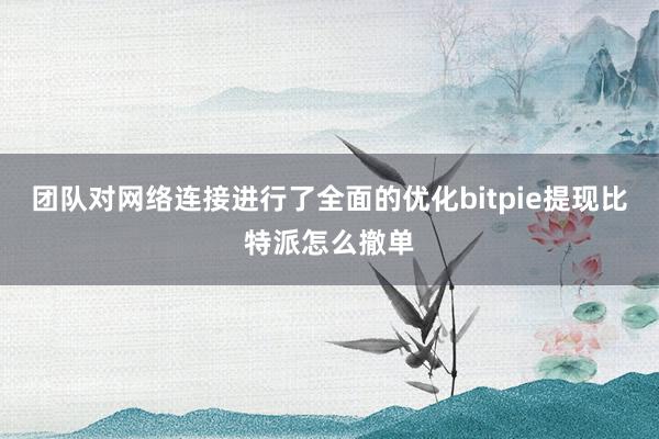 团队对网络连接进行了全面的优化bitpie提现比特派怎么撤单