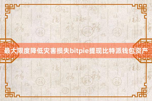 最大限度降低灾害损失bitpie提现比特派钱包资产