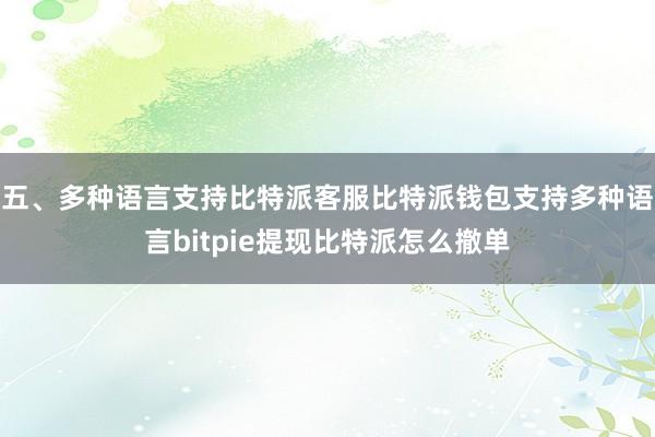 五、多种语言支持比特派客服比特派钱包支持多种语言bitpie提现比特派怎么撤单