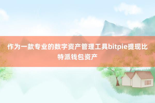 作为一款专业的数字资产管理工具bitpie提现比特派钱包资产