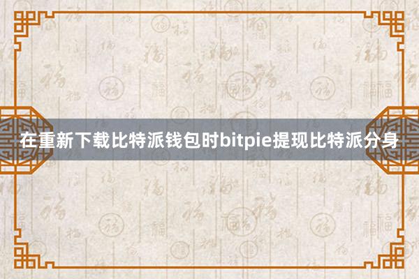 在重新下载比特派钱包时bitpie提现比特派分身