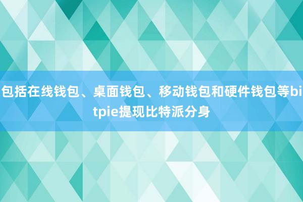 包括在线钱包、桌面钱包、移动钱包和硬件钱包等bitpie提现比特派分身