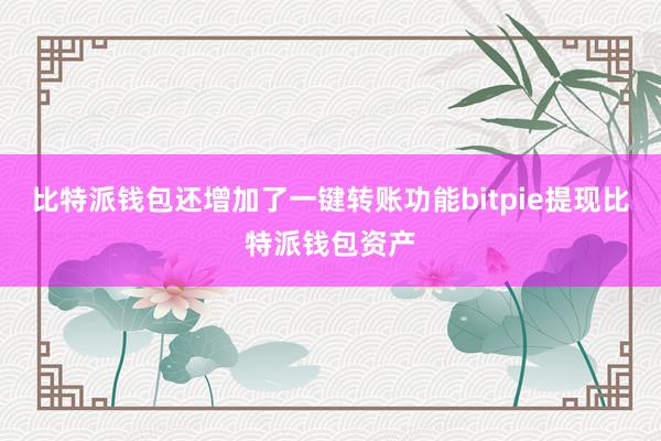 比特派钱包还增加了一键转账功能bitpie提现比特派钱包资产