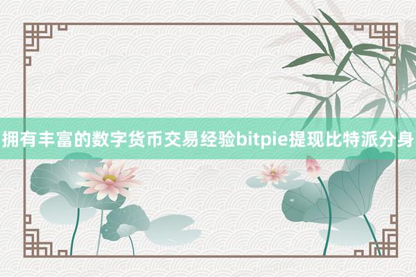 拥有丰富的数字货币交易经验bitpie提现比特派分身