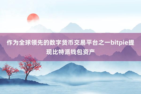 作为全球领先的数字货币交易平台之一bitpie提现比特派钱包资产