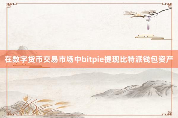 在数字货币交易市场中bitpie提现比特派钱包资产