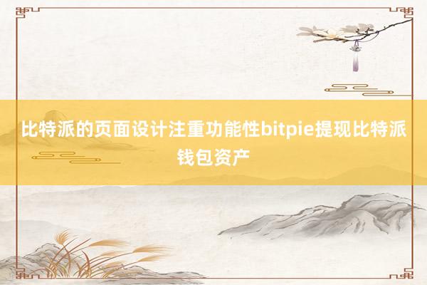 比特派的页面设计注重功能性bitpie提现比特派钱包资产