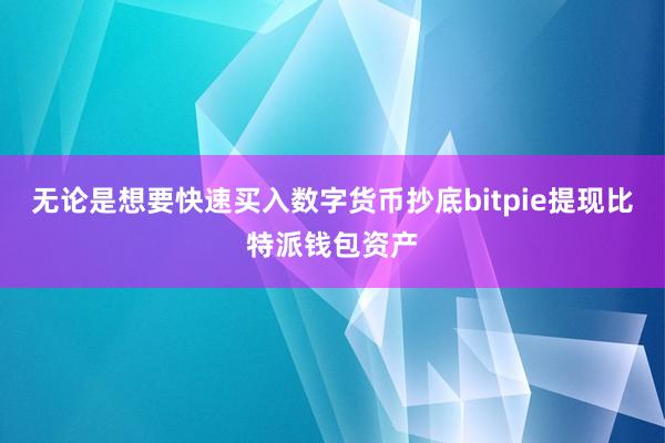 无论是想要快速买入数字货币抄底bitpie提现比特派钱包资产