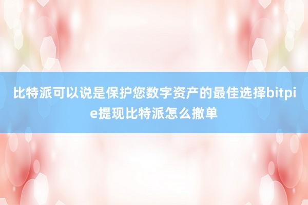 比特派可以说是保护您数字资产的最佳选择bitpie提现比特派怎么撤单