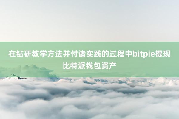 在钻研教学方法并付诸实践的过程中bitpie提现比特派钱包资产