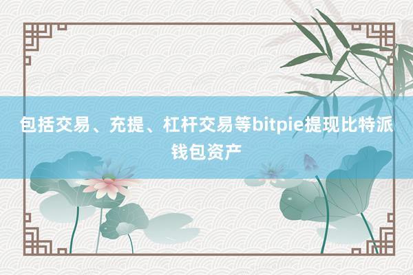 包括交易、充提、杠杆交易等bitpie提现比特派钱包资产